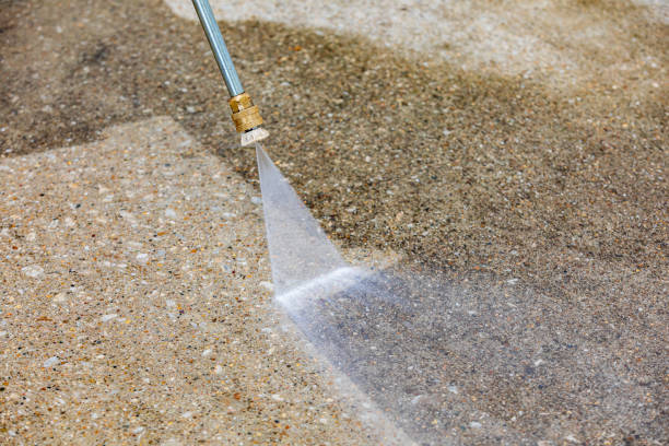 Best Roof Cleaning and Mildew Removal in Aurora, TX