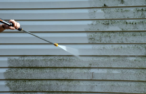 Best Fence Cleaning and Maintenance in Aurora, TX