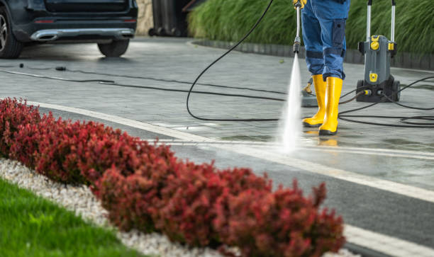Best Sidewalk and Walkway Pressure Cleaning in Aurora, TX